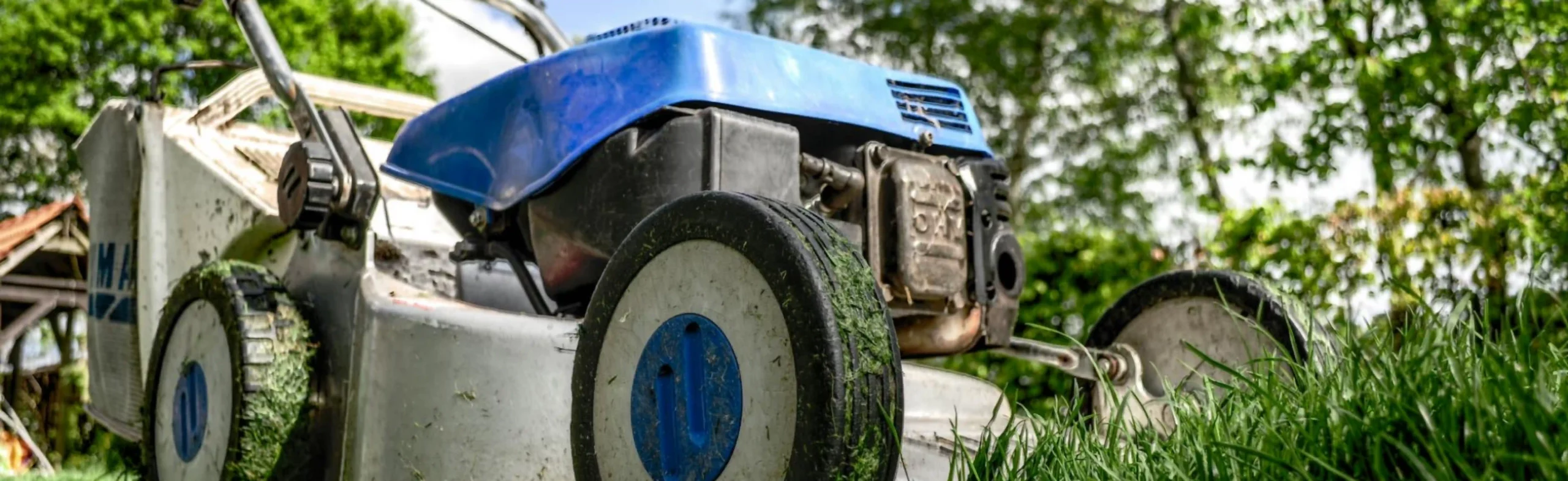 Affordable lawn care near me — 7 insider moves lenny’s landscape uses to cut costs (not corners)