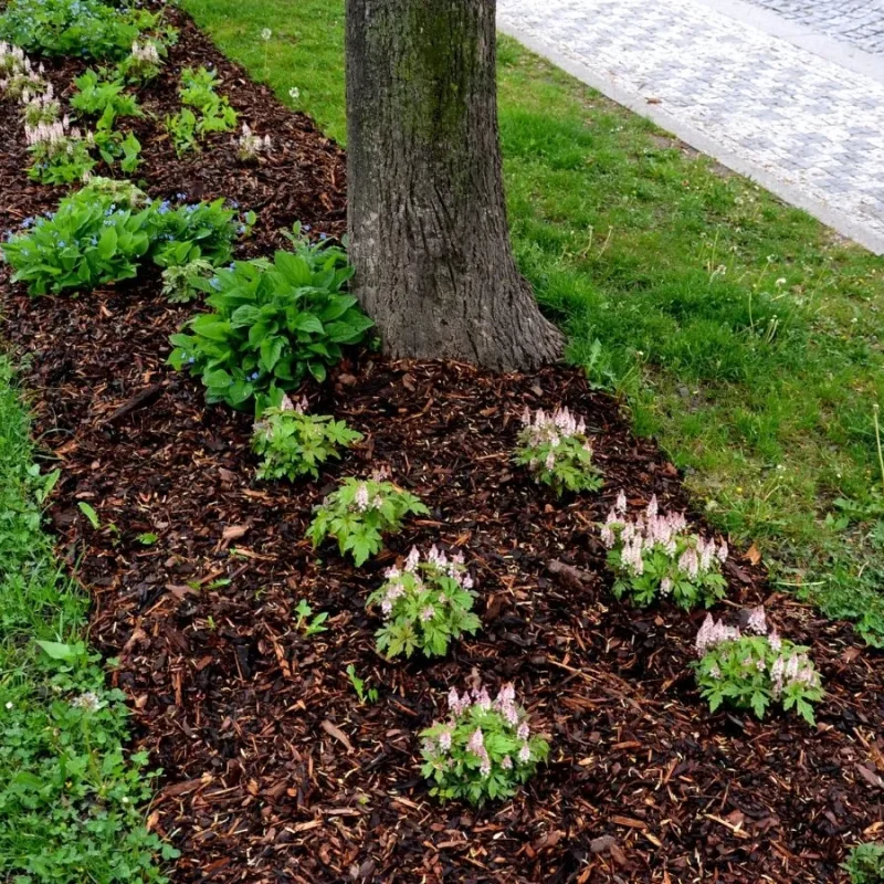 Freshly mulched tree bed with or