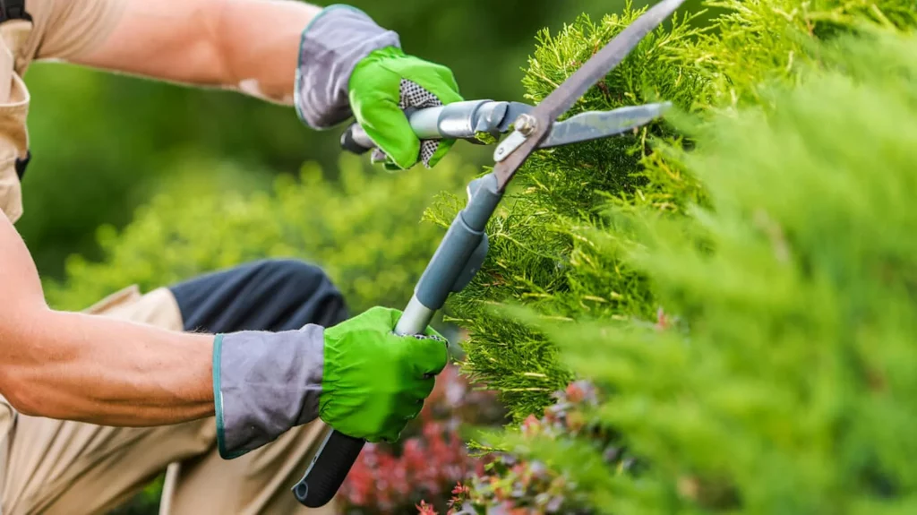 Garden maintenance