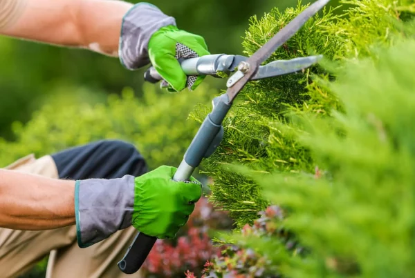 Garden maintenance by Lenny’s Landscaping