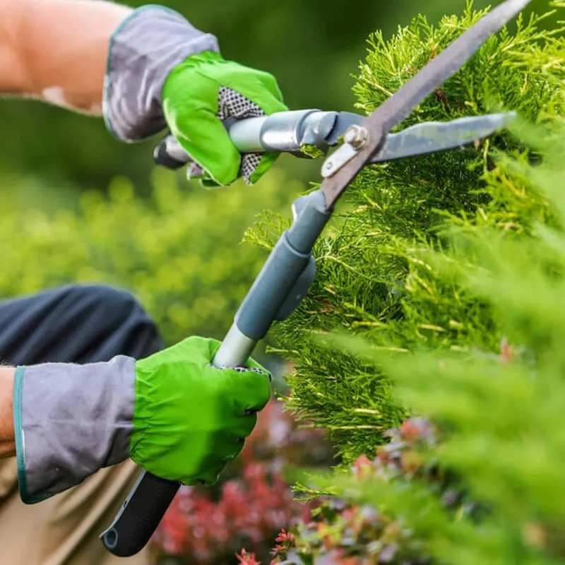 Garden maintenance
