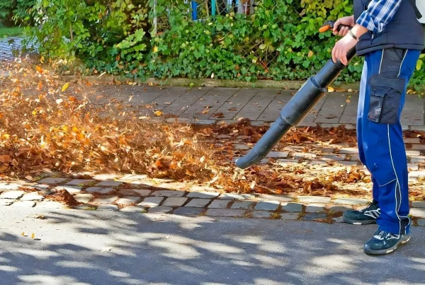 Leaf blower