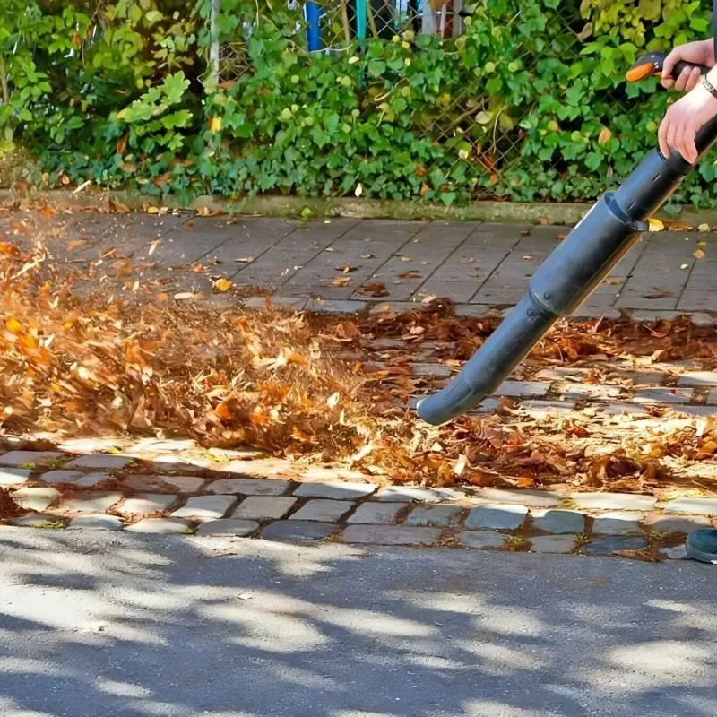 Leaf blower