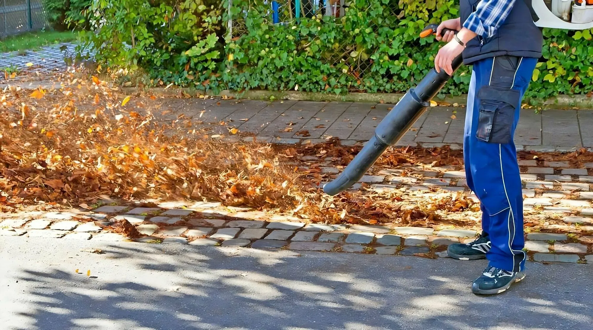 Leaf blower
