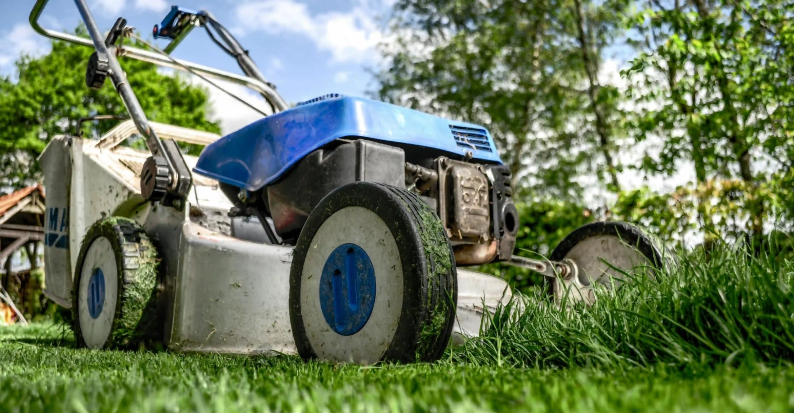 Affordable Lawn Care Near Me: 7 Ways Lenny’s Landscape Saves You Money