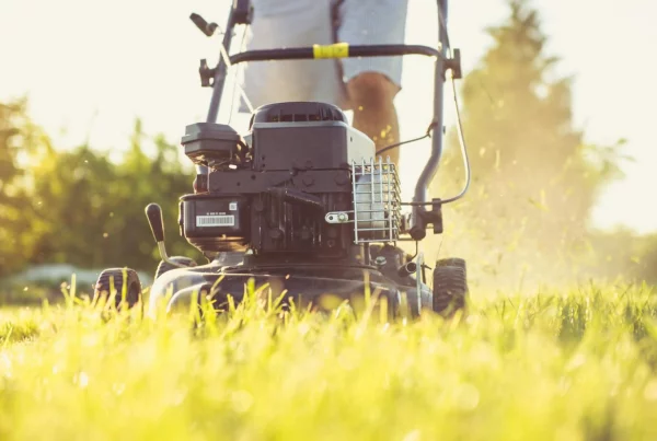 Lawn aerator