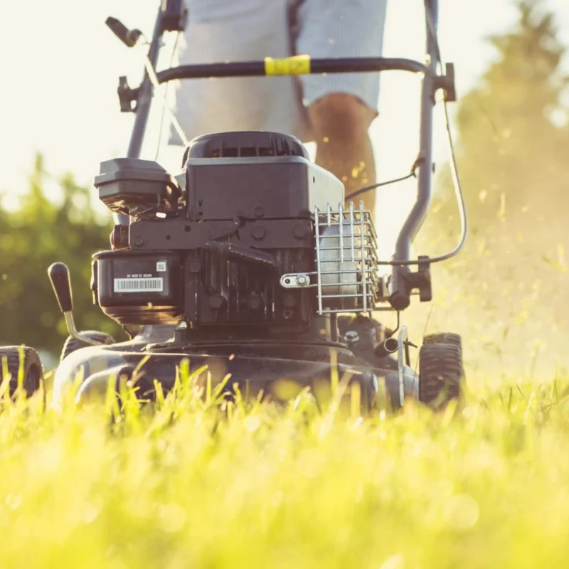 Lawn aerator