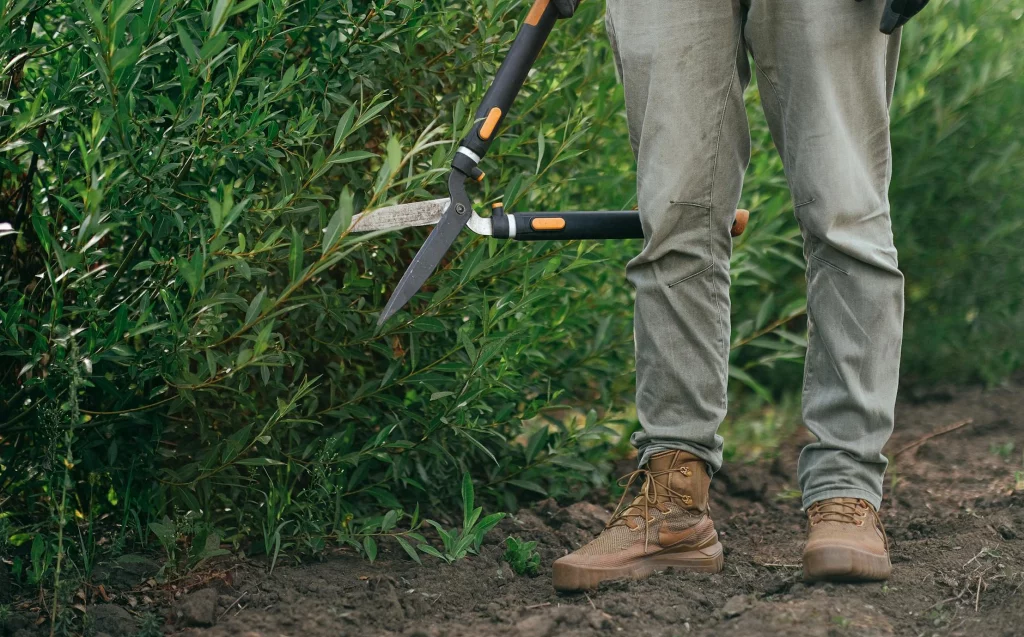 Bush trimming service transforming overgrown bushes in a residential landscape