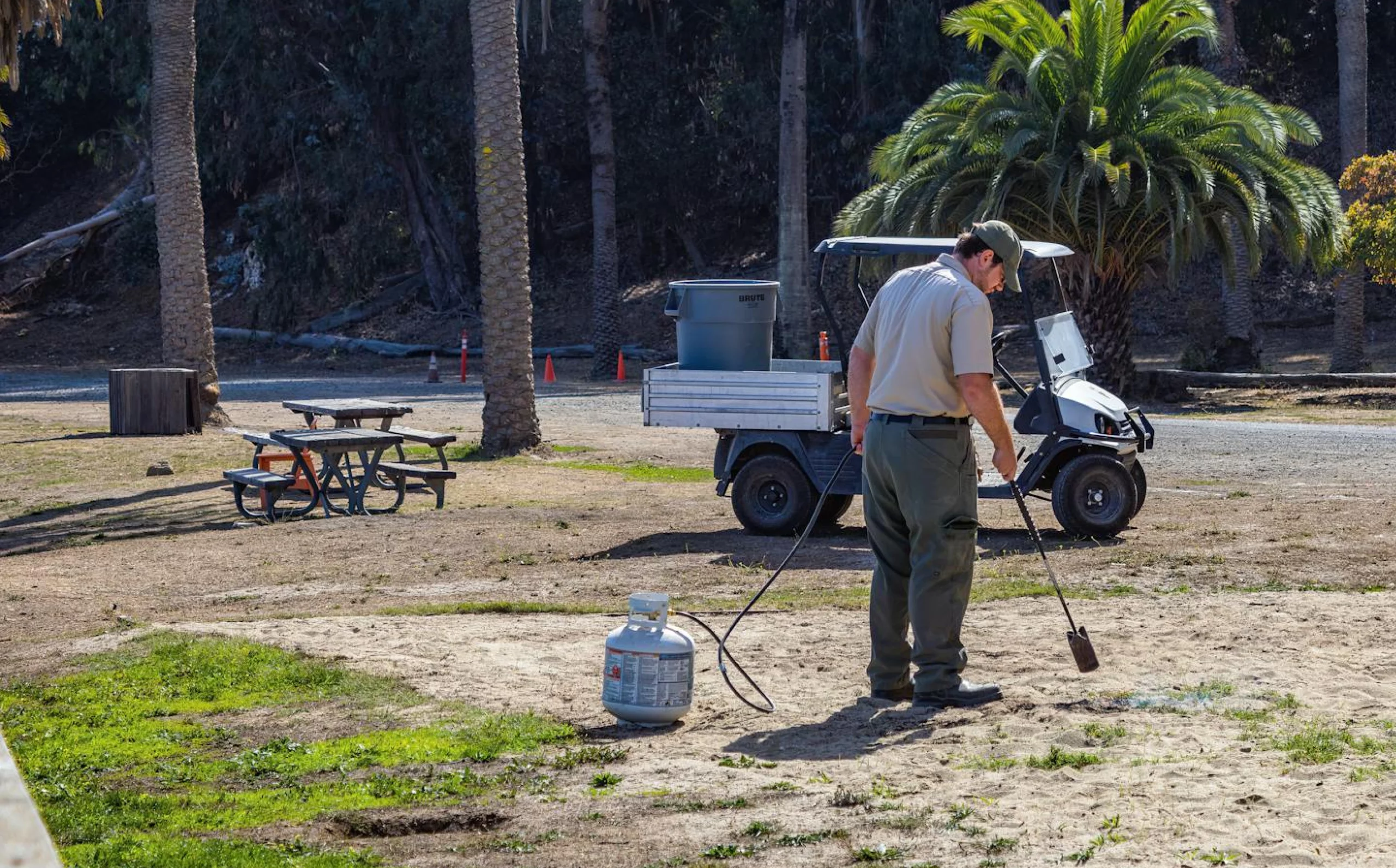 Commercial and residential lawn care services enhancing a property’s green landscape