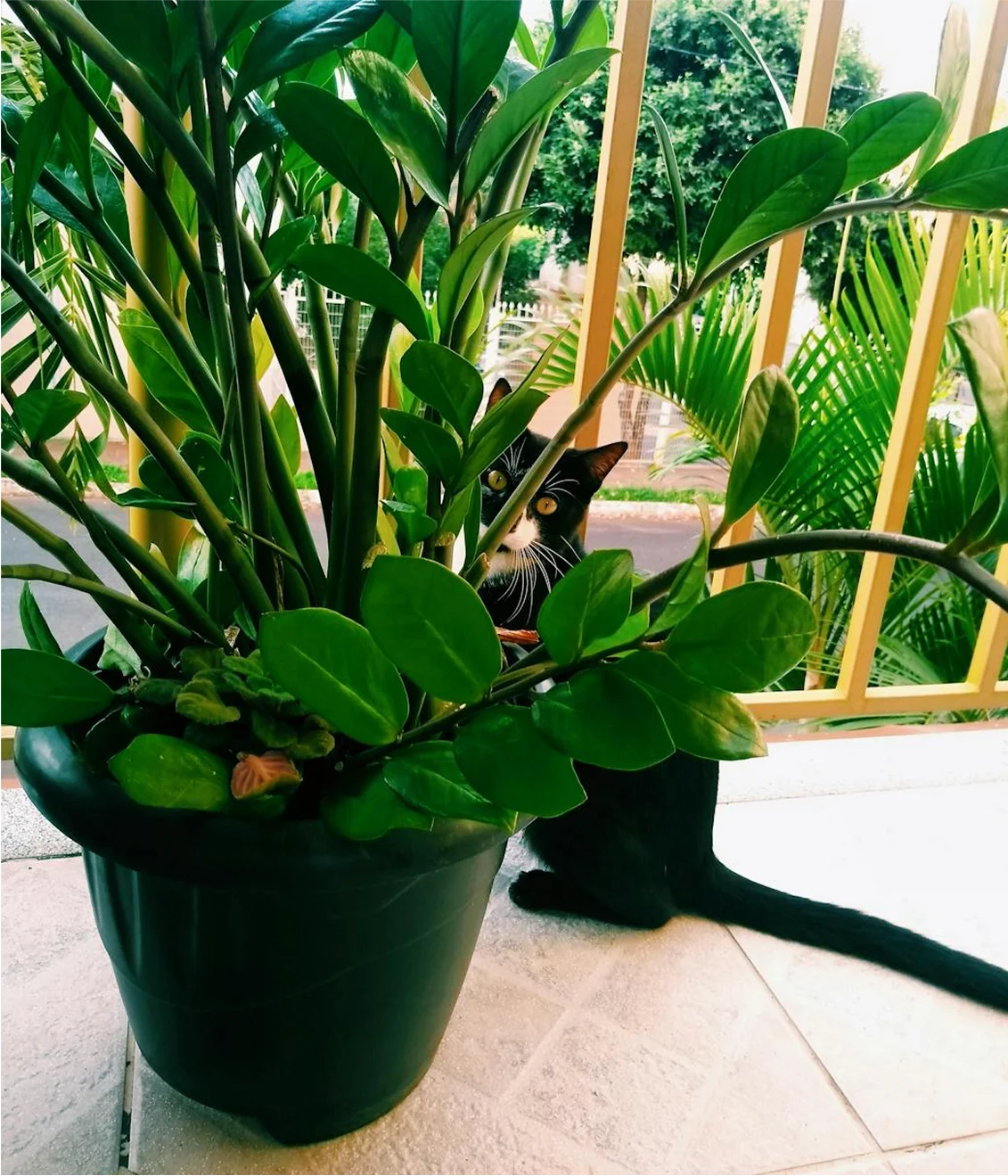 Gallery showcase of Lenny’s Landscape projects across Morris County