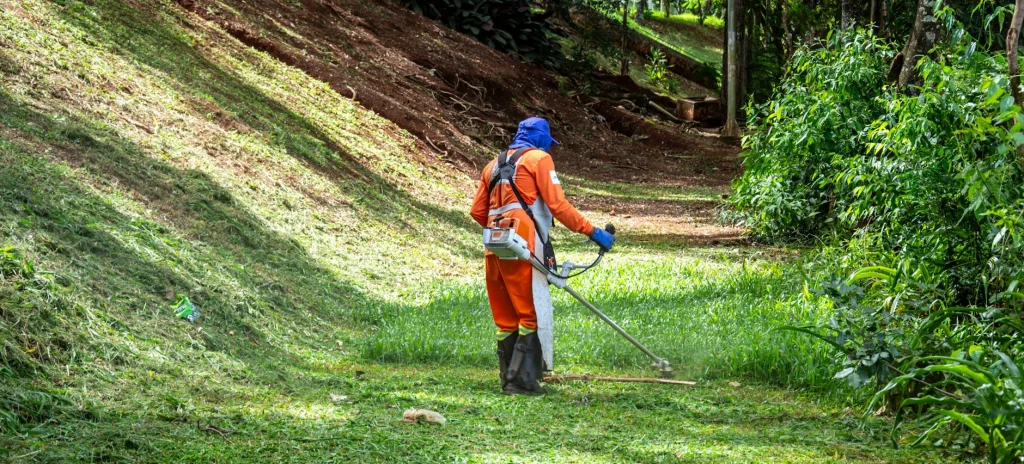 Grass cutting and professional lawn care service on a manicured residential yard