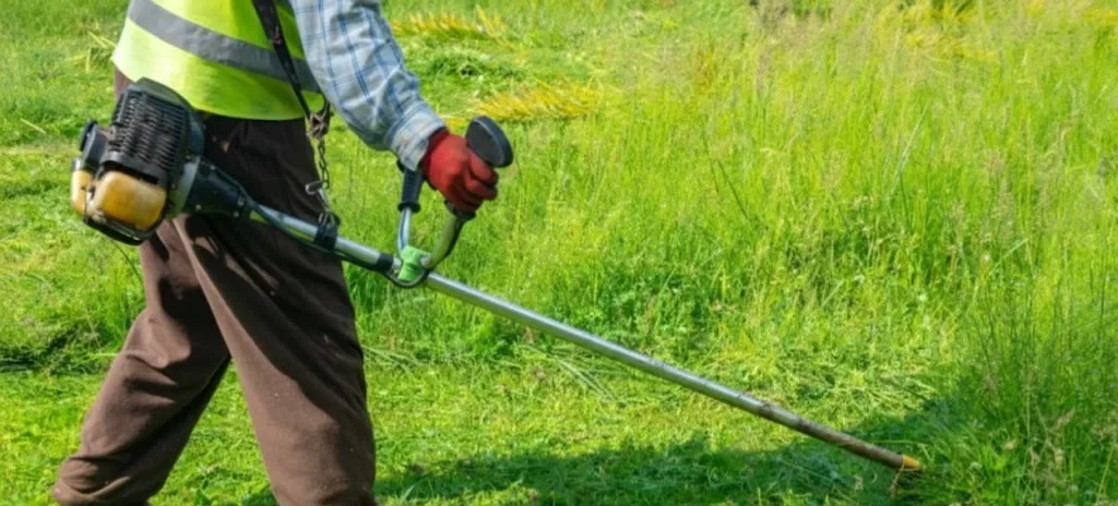 Professional grass cutting service trimming lawn in a residential yard