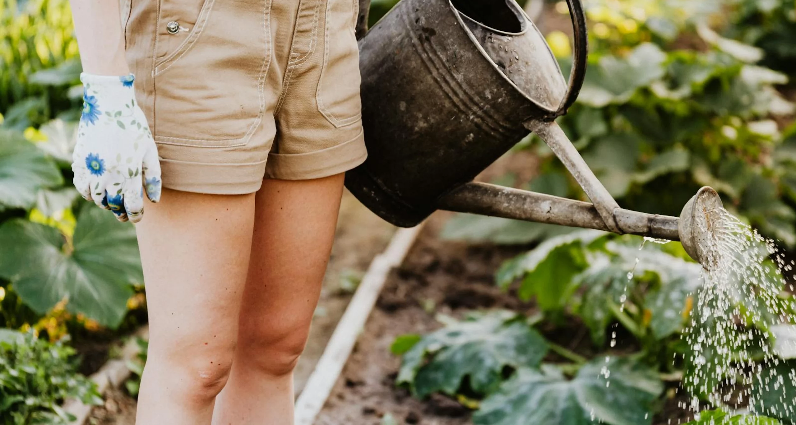 Professional lawn care team mowing and maintaining a residential lawn near a home