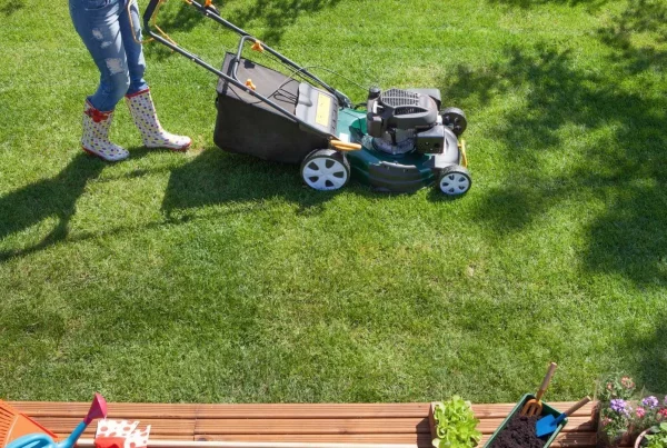 Rasen maehen und pflegen 1 edite