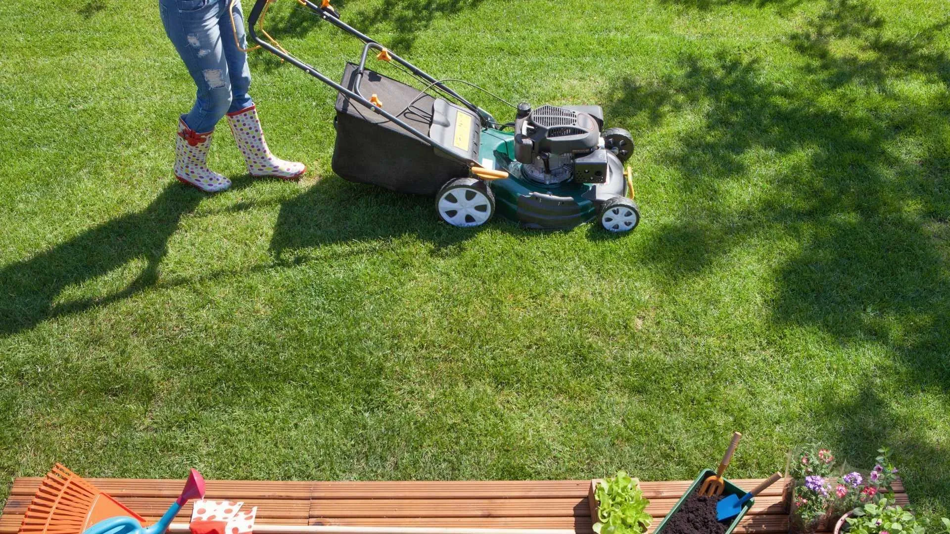 From Design to Maintenance How to Plan Your Morris County Landscape Project