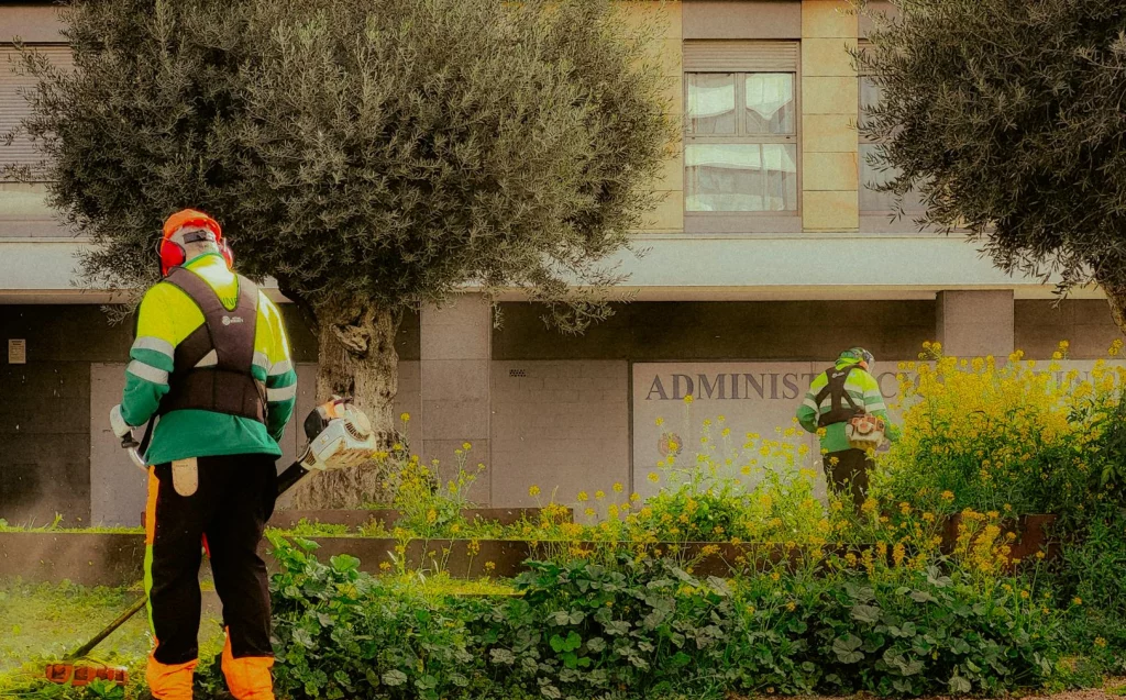 Professional trimming of trees and shrubs in a residential landscape yard