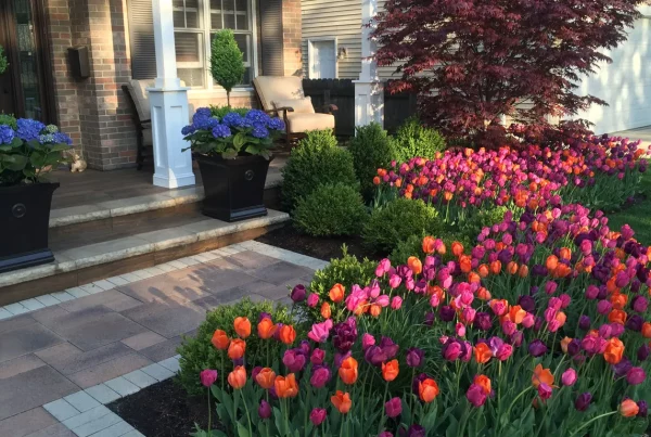Landscape design chicago suburbs