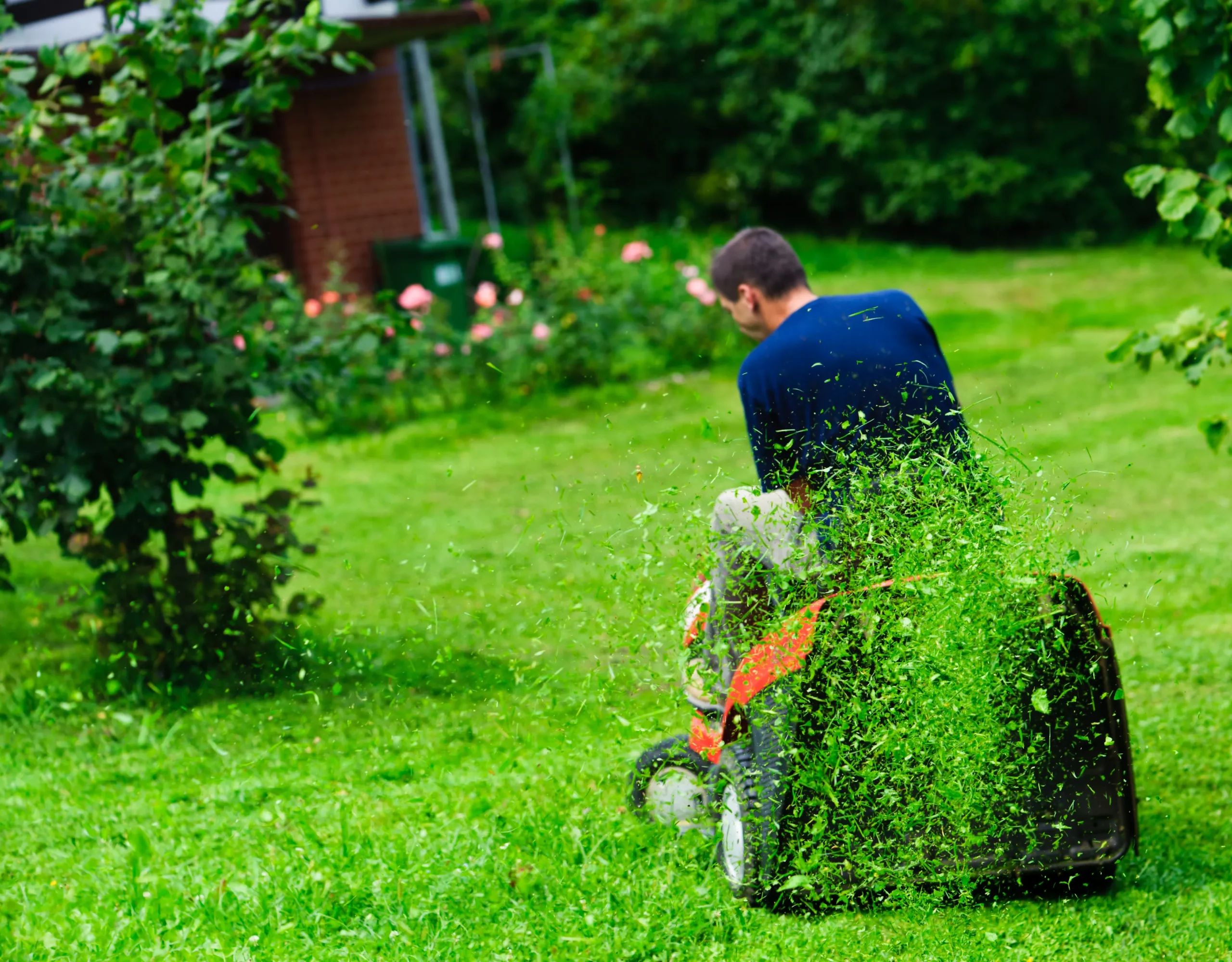 Common Landscaping Mistakes Near Me Morris County Homeowners Should Avoid